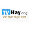 Avatar of TVHay