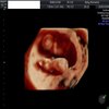 Avatar of scan4dcou