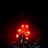 Avatar of Fnaffam12