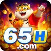 Avatar of 65H