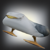 Avatar of Gergo Domonics