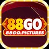 Avatar of 88gopictures