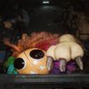 Avatar of PlayeranimationsStudios