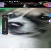 Avatar of VonoGaming