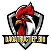 Avatar of dagatructiepbio9