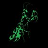 Avatar of VoidMantis