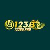 Avatar of 123b6pro