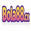 Avatar of Bola88 cx