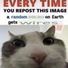Avatar of MrZmiley