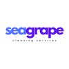 Avatar of SeaGrapeCleaning