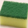 Avatar of spongee