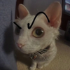 Avatar of DannyKream6