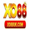 Avatar of CEO Shun Nguyễn