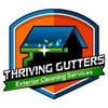 Avatar of Thriving Gutters