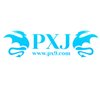 Avatar of PXJ