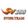 Avatar of sv388team