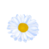 Avatar of KyokoKiki