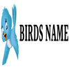 Avatar of Birds Name