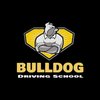 Avatar of BULLDOG DRIVING SCHOOL