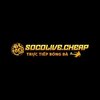 Avatar of socolivecheap