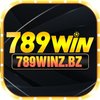 Avatar of 789Winz Bz