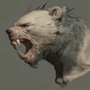 Avatar of c4dquba