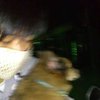 Avatar of tommy850503