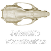 Avatar of Scientific Visualisation