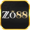 Avatar of Zo88