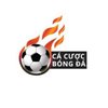 Avatar of trangcacuocbongdatv