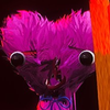 Avatar of CrashLDev