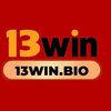 Avatar of 13winbio
