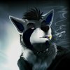 Avatar of Wolf_Howl