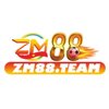 Avatar of ZM88