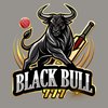 Avatar of blackbull_777