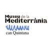 Avatar of Museu de la Mediterrània