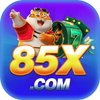 Avatar of 85X