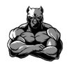 Avatar of msfreefire846