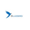 Avatar of Bluebird3d