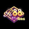 Avatar of R88