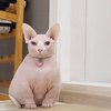 Avatar of mamkist