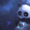 Avatar of Boo-bear