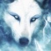 Avatar of wolf_spirit72