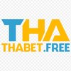 Avatar of Thabet