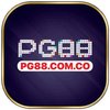 Avatar of pg88.com.co