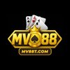 Avatar of MV88