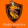 Avatar of Studio Ascolese Games