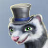Avatar of PolyFerret