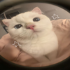 Avatar of sushiskies