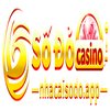 Avatar of sodo779com